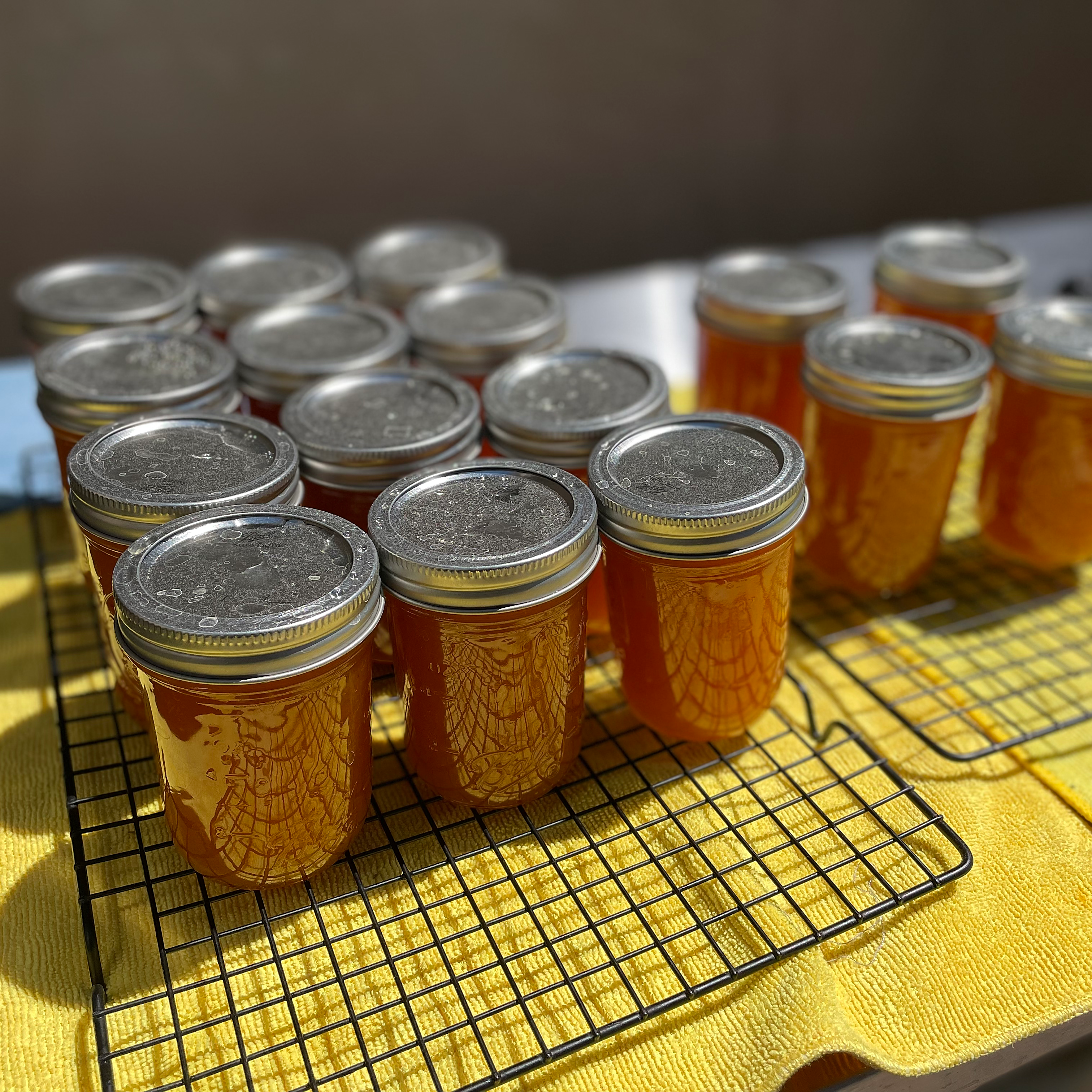 jam_on_racks.png