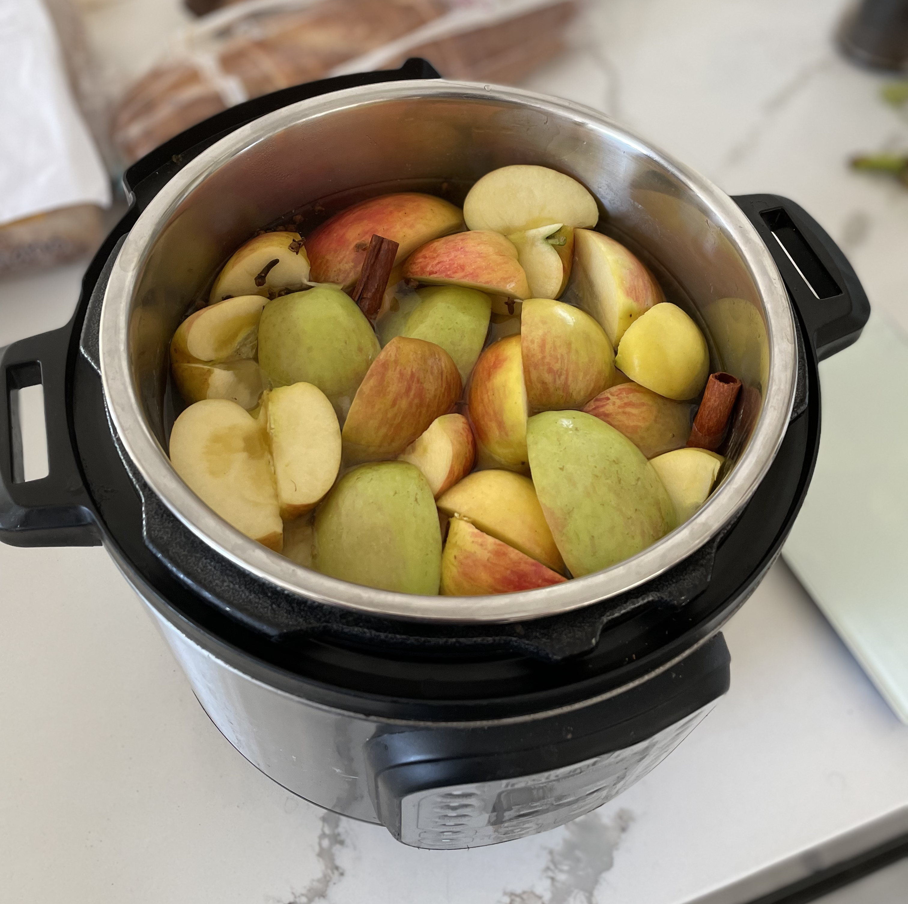 All the ingredients in the instapot